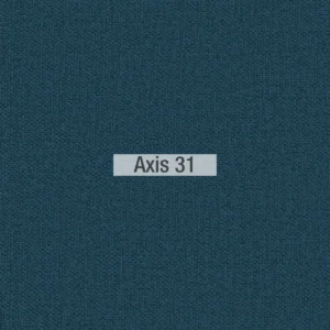 Axis 31