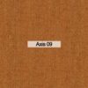 axis 09