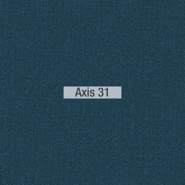 axis 31